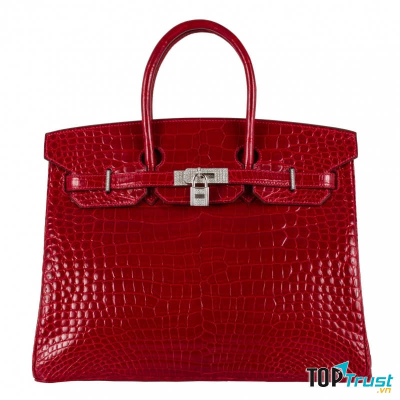 Chiếc túi Birkin Bag