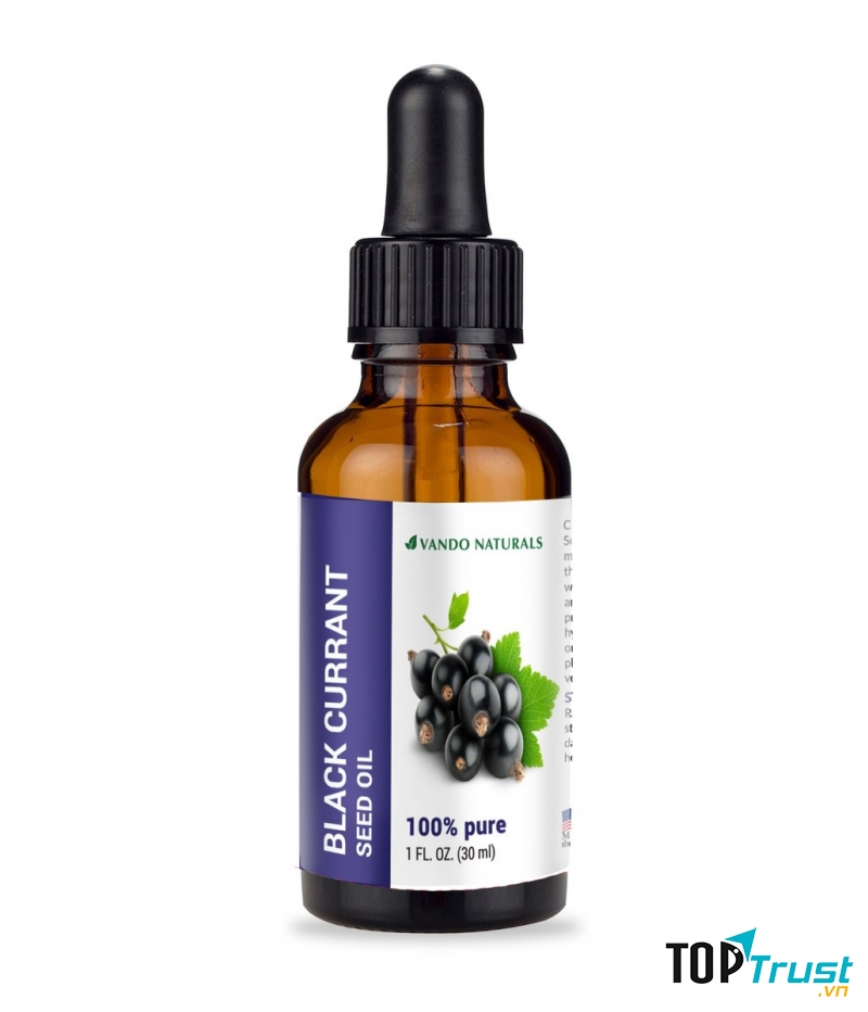 BLACK CURRANT OIL
