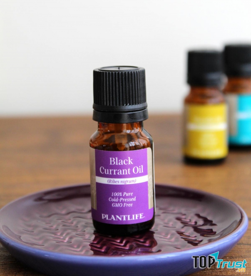 BLACK CURRANT OIL