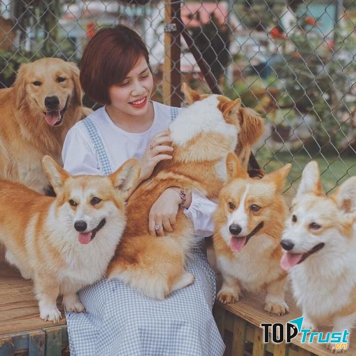 Bạn sẽ không thể cưỡng lại những chú thú cưng dễ thương