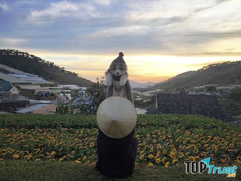 Black Rock Garden Coffee