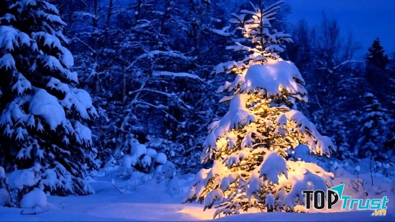 Blue Christmas