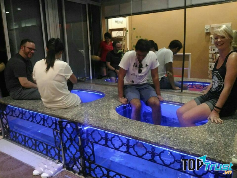 Tại Blue Moon Spa cung cấp dịch vụ spa thiên nhiên với những chú cá vệ sinh, chúng ăn hết nhưng chất bẩn, tế bào chết làm sạch da của bạn, đây là một dịch vụ vô cùng thú vị, mới mẻ
