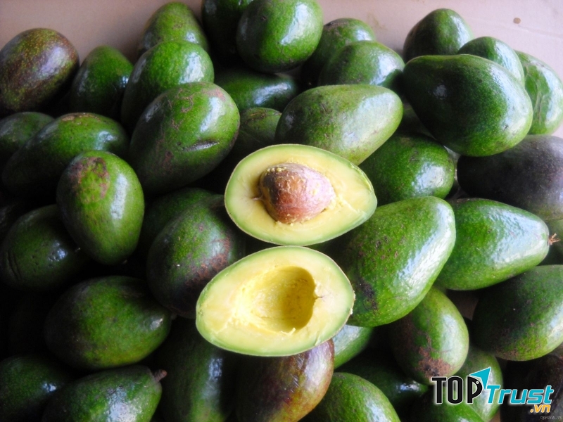 Hình ảnh bên trong và ngoài quả bơ