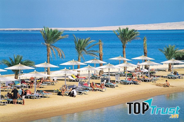 Bờ biển đỏ - Địa điểm du lịch Ai Cập