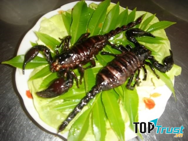 Bọ cạp chiên bơ, béo ngậy, thơm lừng.