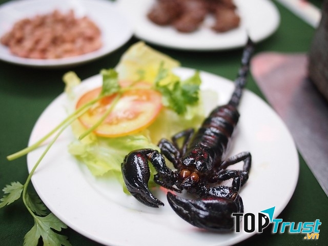 Bò cạp bảy núi