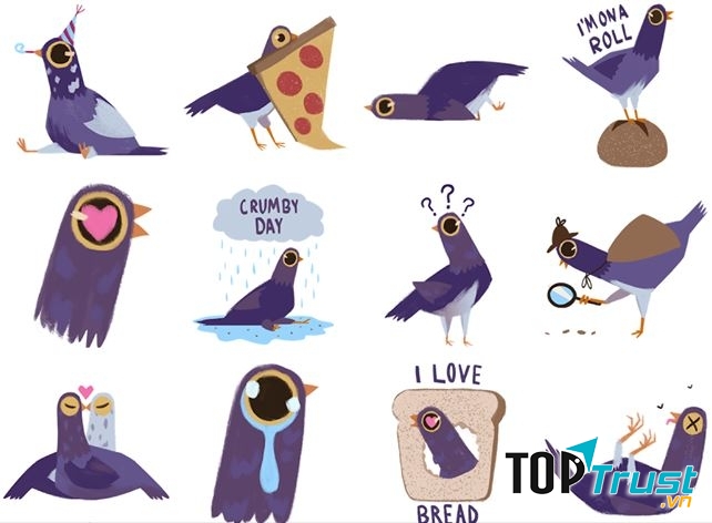 Bồ câu thành phố