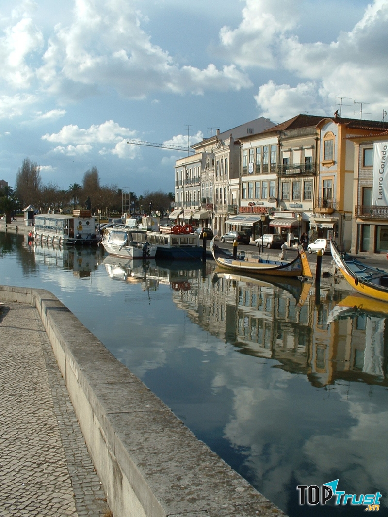 Khu bảo tồn thiên nhiên Aveiro, Bồ Đào Nha