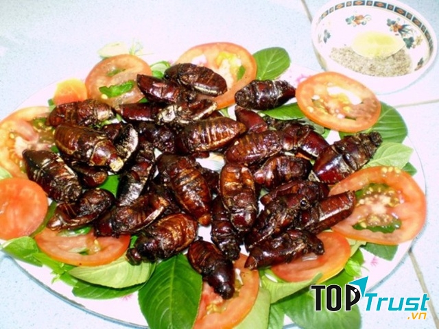 Món ăn từ bọ hung