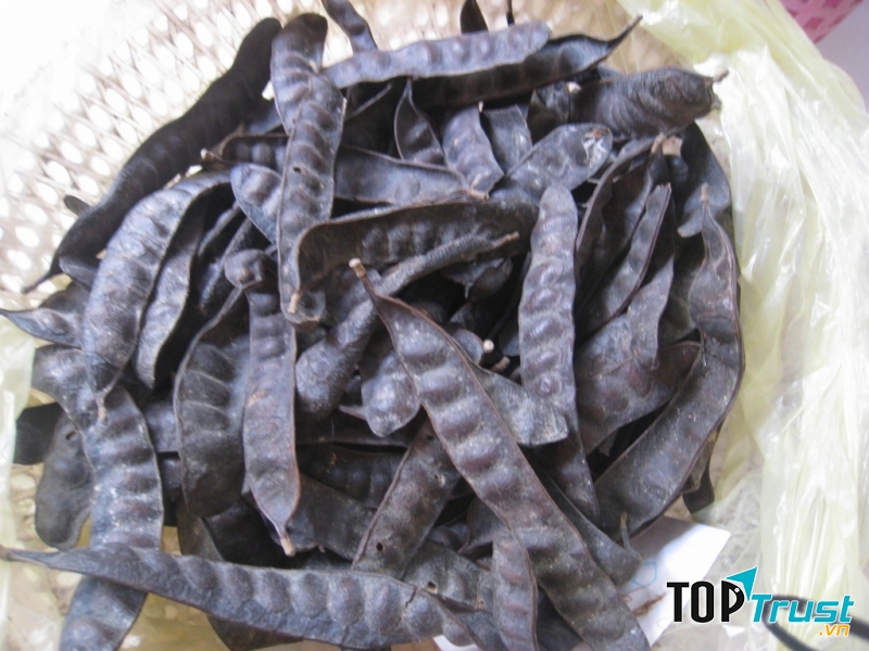 Bồ kết điều trị rụng tóc