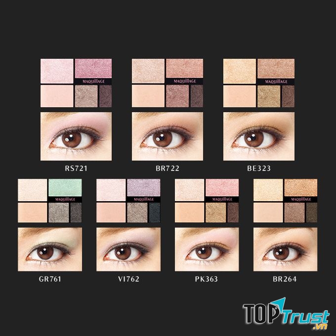 Shiseido maquillage True Eye Shadow