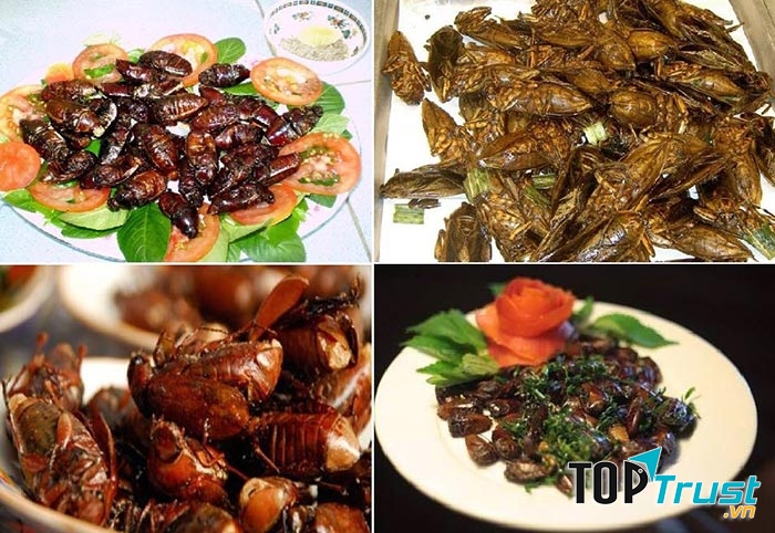 Bọ rầy Bảy Núi