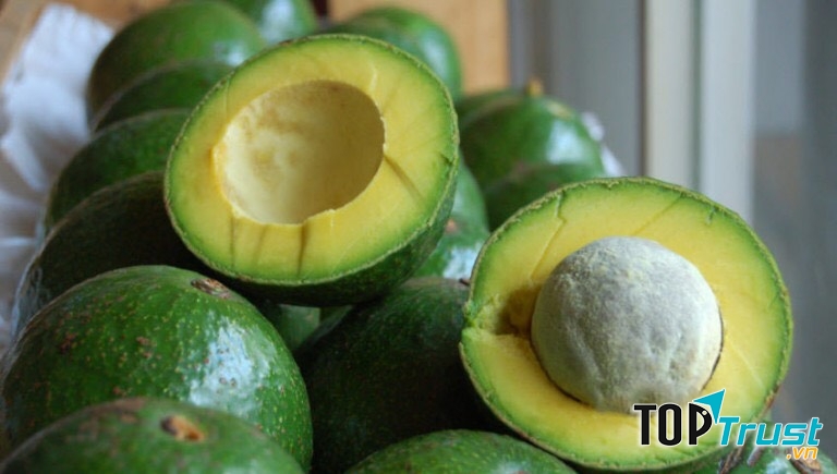 Bơ sáp tại vườn