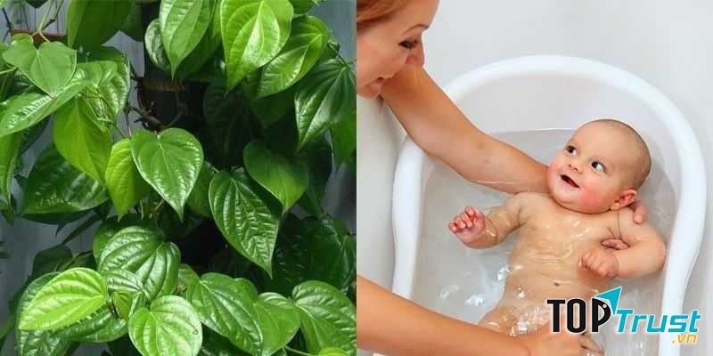 Không phải cứ là từ thiên nhiên đã an toàn mẹ nhé