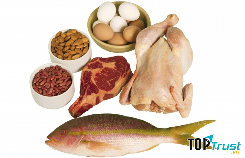 Bổ sung protein (chất đạm)