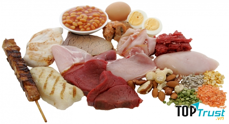 Hấp thụ Protein qua các loại thực phẩm hàng ngày