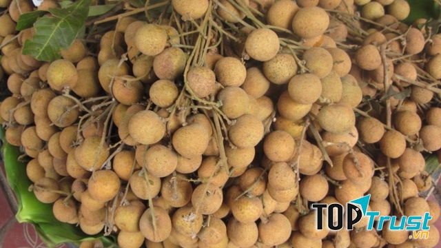 Bổ sung sắt cho cơ thể