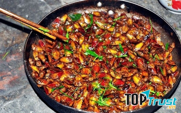 Món Mối đất chiên