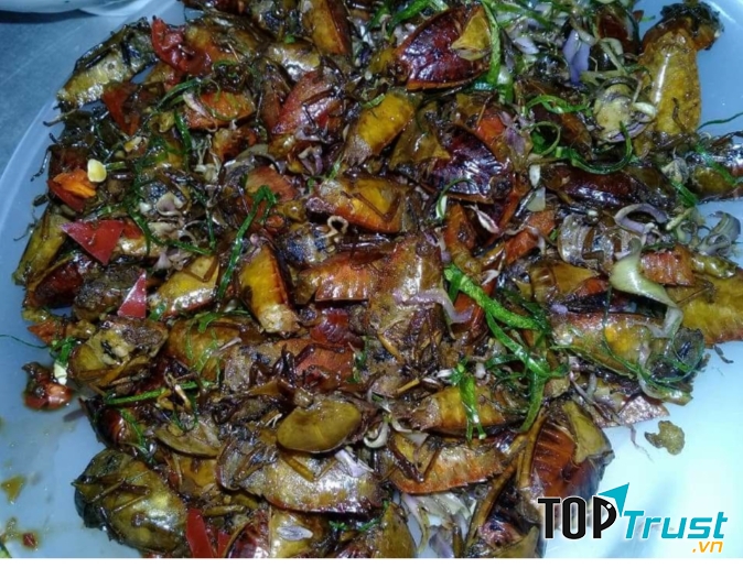 Món bọ xịt rang