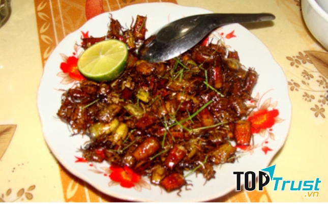 Bọ xít chiên giòn