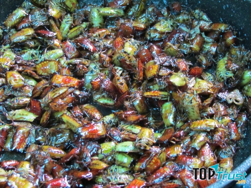 Bọ xít rang lá chanh