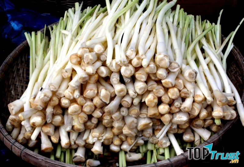 Bồn bồn trắng