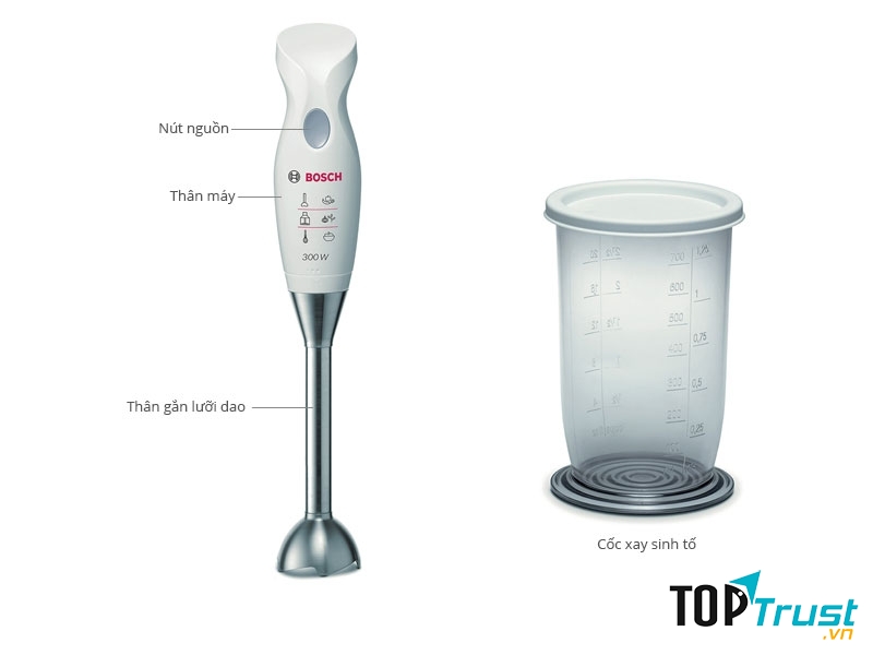 Máy xay sinh tố cầm tay Bosch MSM6B250