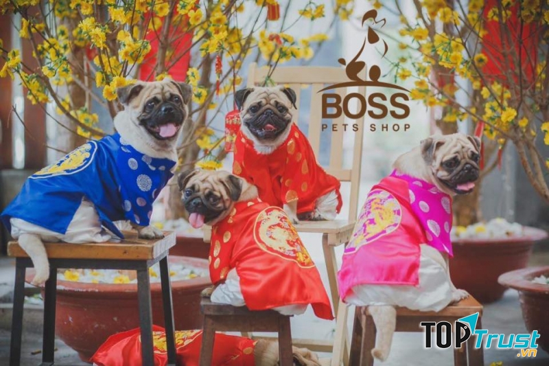 Đồ dài diện Tết