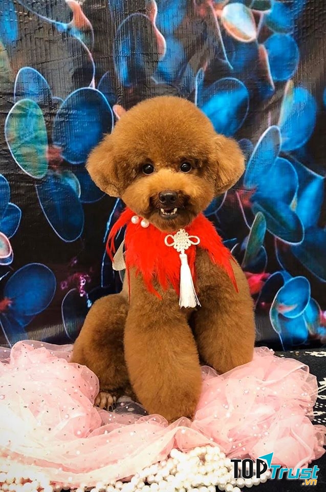 BossCare Bình Dương