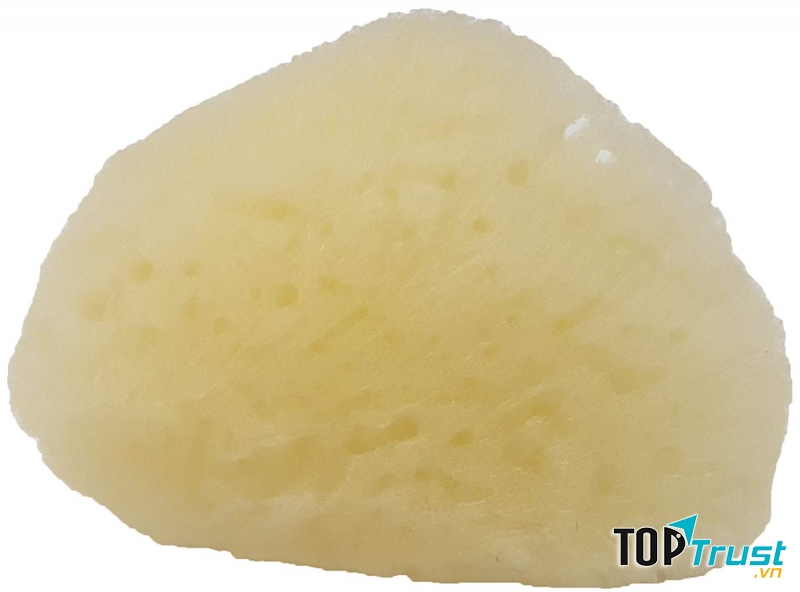 Atlantic Silk Facial Sponge – St. John’