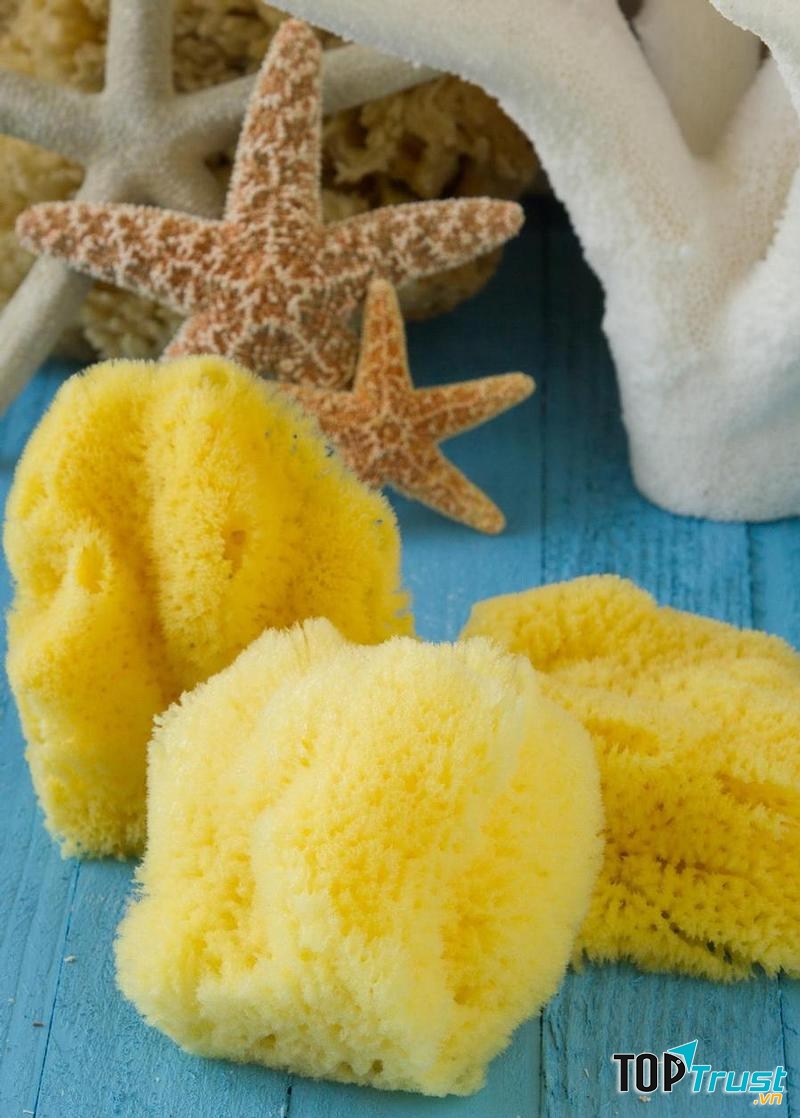 Atlantic Silk Facial Sponge – St. John’