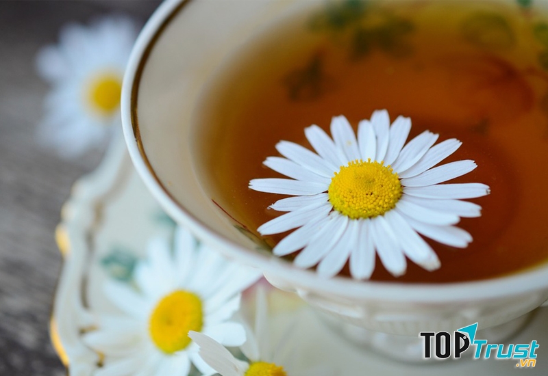 Bột hoa cúc chữa đau đầu, chóng mặt, có tính ấm, giúp an thần, ngủ sâu