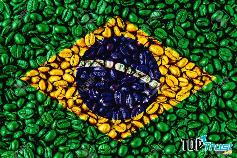 Hãy trao dồi tiếng Bồ Đào Nha và đến Brazil thôi nào