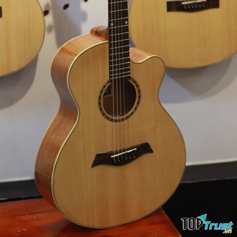 Bụi Guitar Shop