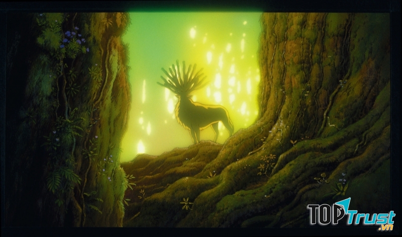 Bước chân của thần rừng