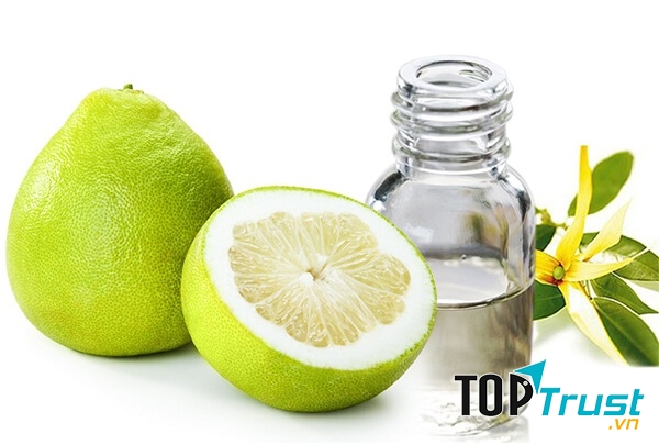 Ảnh minh họa - nguồn internet