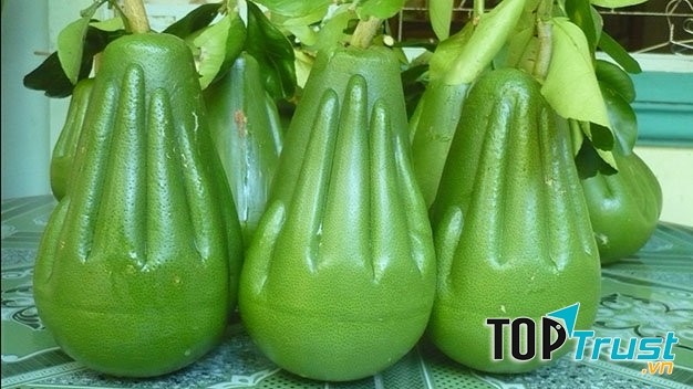 Bưởi lễ Cát Tường