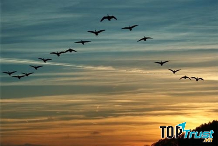 Vạn vật đang ngủ say bỗng bừng lên trong nắng sớm.