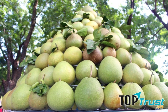 Bưởi Thanh Trà, một sản phẩm tiến vua của vùng đất cố đô
