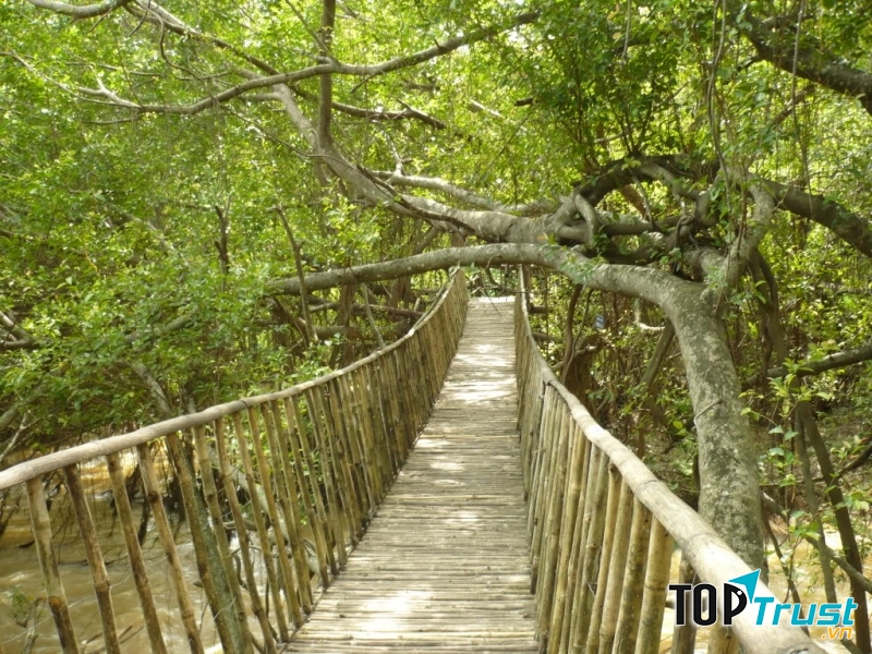 Cầu tre ở Buôn Đôn