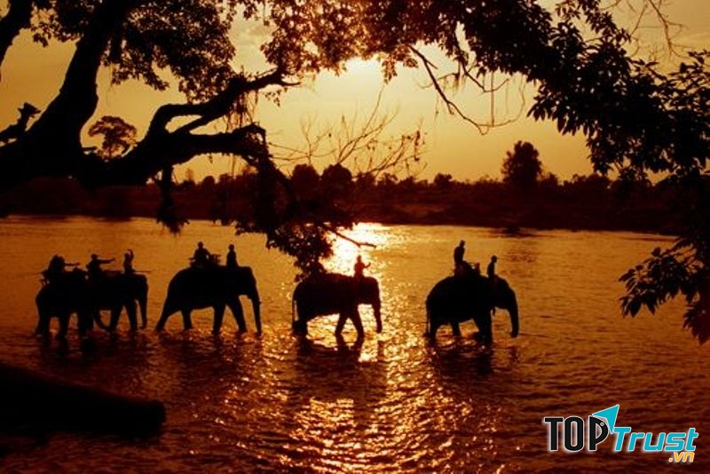 Cưỡi voi trên dòng SêRêPôk