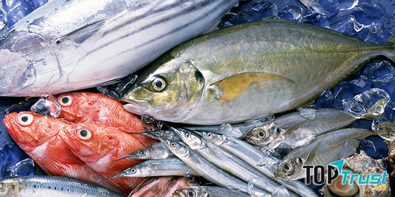 Cá là loại thực phẩm có nhiều chất dinh dưỡng.