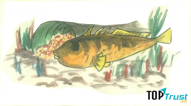 Anh trông trẻ là tuyệt nhất