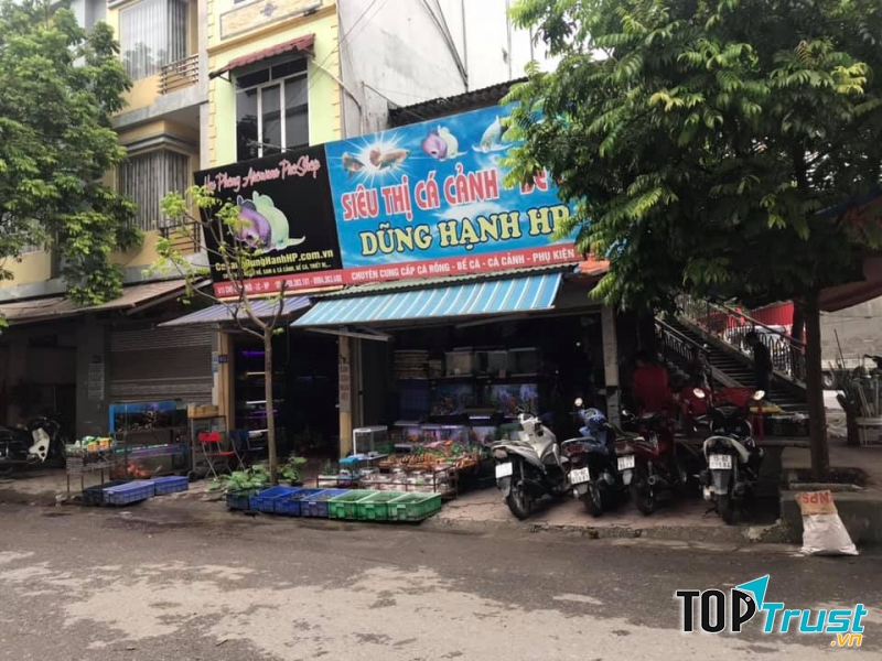 Siêu thị các cảnh Dũng Hạnh HP