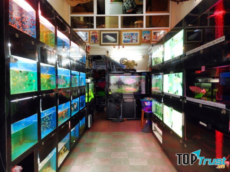 Sản phẩm ở đây giá thành tương đối rẻ sản phẩm thì cực kì tốt luôn không thua gì sản phẩm cao cấp