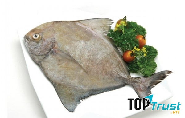 Thịt cá chim chứa hoạt chất tryptophan và vitamin B6 có tác dụng kích thích giấc ngủ ngon hơn