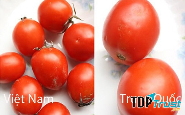 Cà chua Trung Quốc thường không có cuống