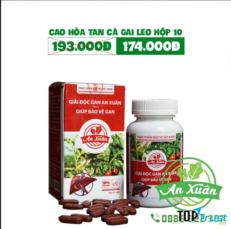 Cà Gai Leo An Xuân