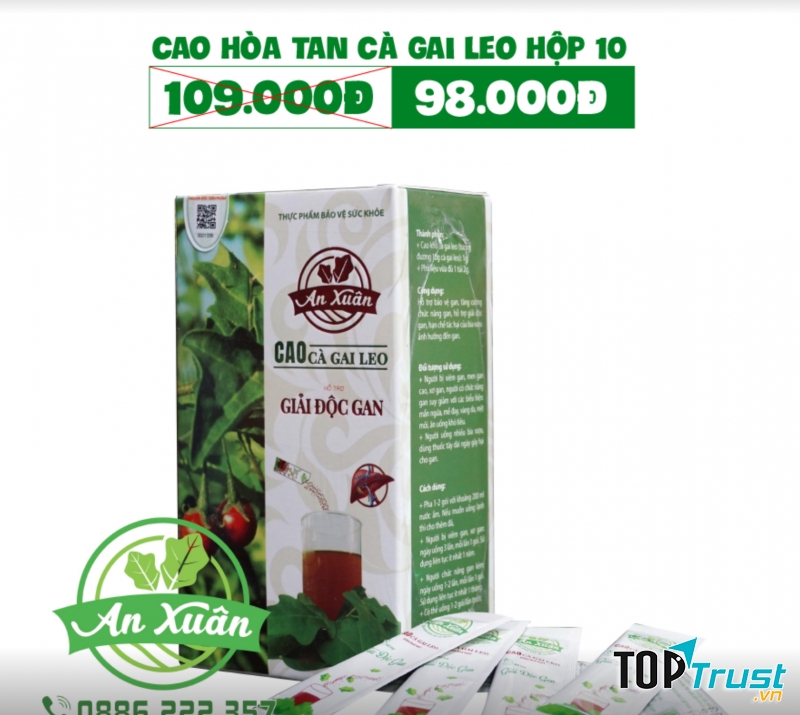 Cà Gai Leo An Xuân